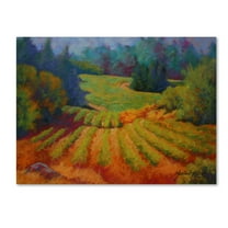 Trademark Fine Art 'Vineyard 2' Canvas Art by Marion Rose
