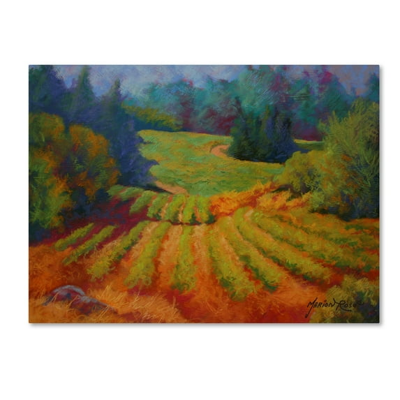 Trademark Fine Art 'Vineyard 2' Canvas Art by Marion Rose