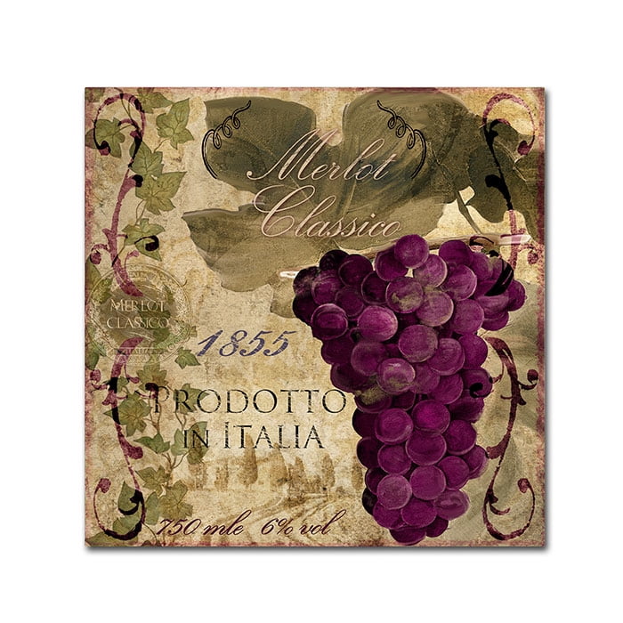 Trademark Fine Art "Vino Italiano I" Canvas Art by Color Bakery