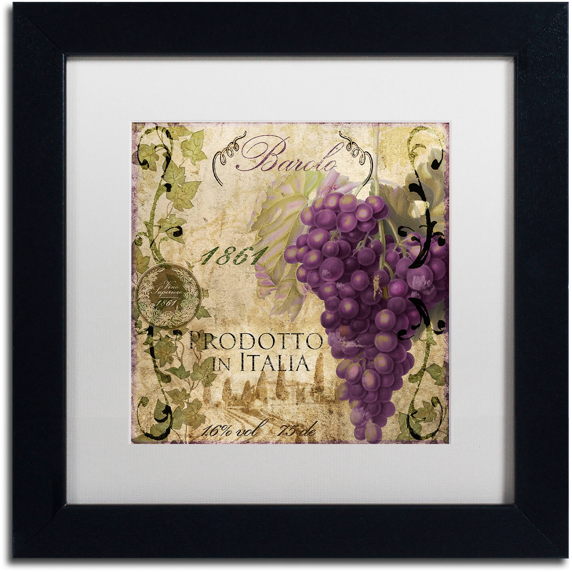 Trademark Fine Art "Vino Italiano II" Canvas Art by Color Bakery White Matte, Black Frame