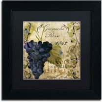 Trademark Fine Art "Vino Italiano III" Canvas Art by Color Bakery Black Matte, Black Frame