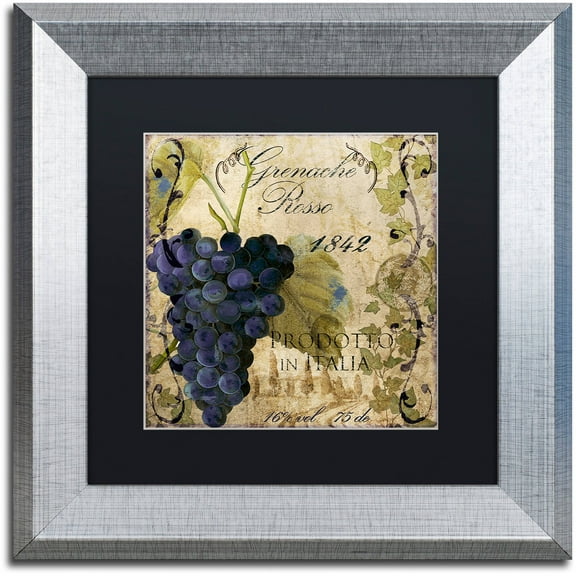 Trademark Fine Art "Vino Italiano III" Canvas Art by Color Bakery Black Matte, Silver Frame