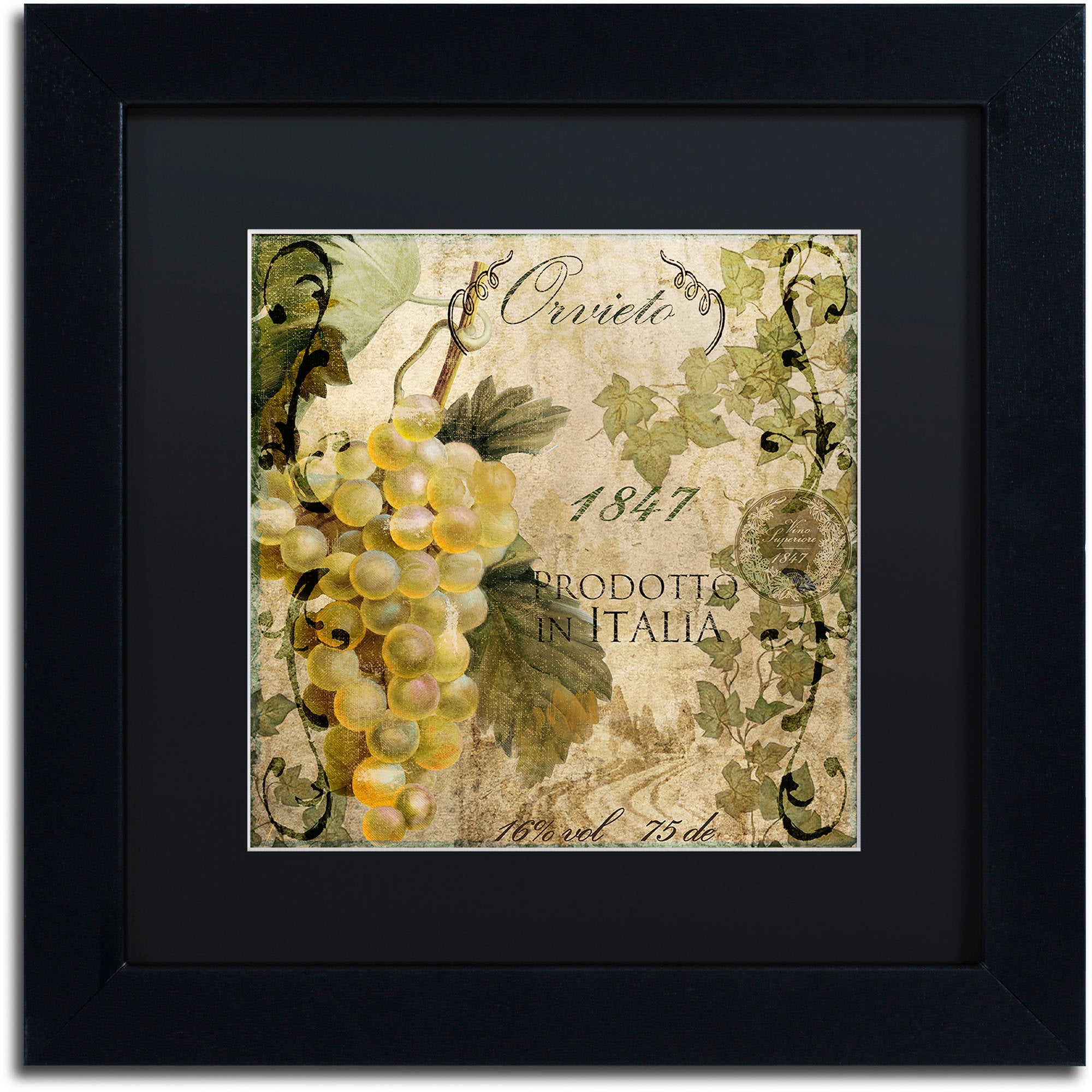 Trademark Fine Art "Vino Italiano IV" Canvas Art by Color Bakery Black Matte, Black Frame