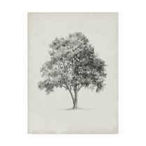 Trademark Fine Art 'Vintage Arbor Study I' Canvas Art by Ethan Harper