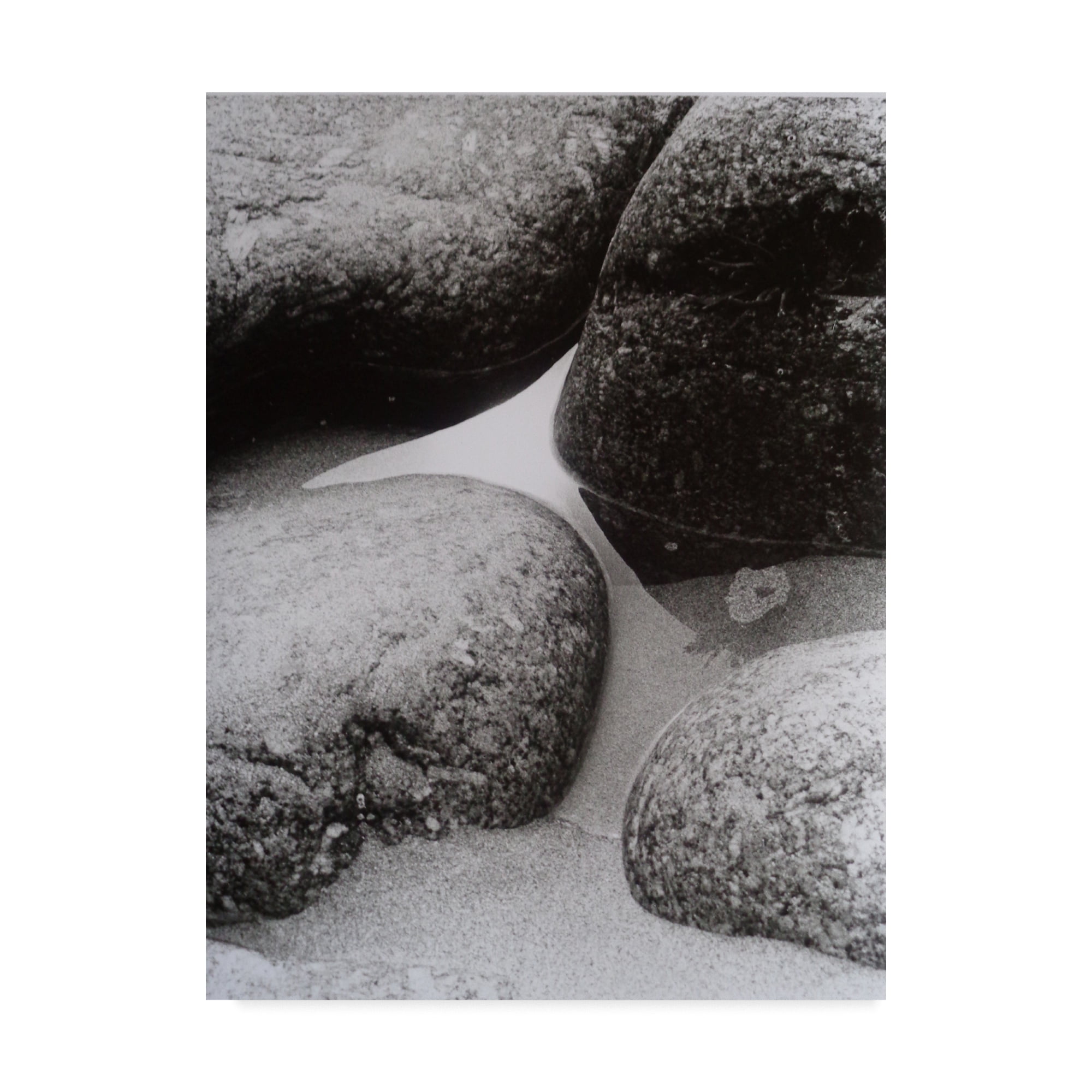 Trademark Fine Art 'Vintage Black and White Photo 9' Canvas Art by Peter McClure