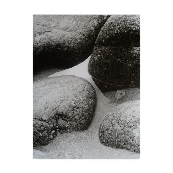 Trademark Fine Art 'Vintage Black and White Photo 9' Canvas Art by Peter McClure