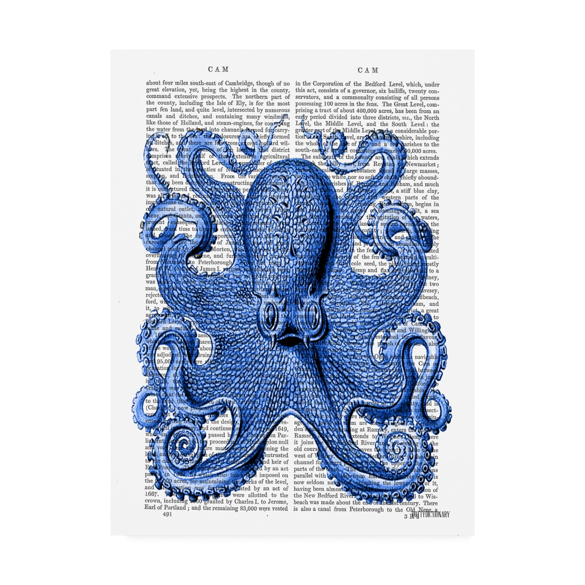 Trademark Fine Art 'Vintage Blue Octopus 1, Front' Canvas Art by Fab Funky