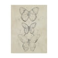 thumbnail image 1 of Trademark Fine Art 'Vintage Butterfly Sketch I' Canvas Art by June Erica Vess, 1 of 4