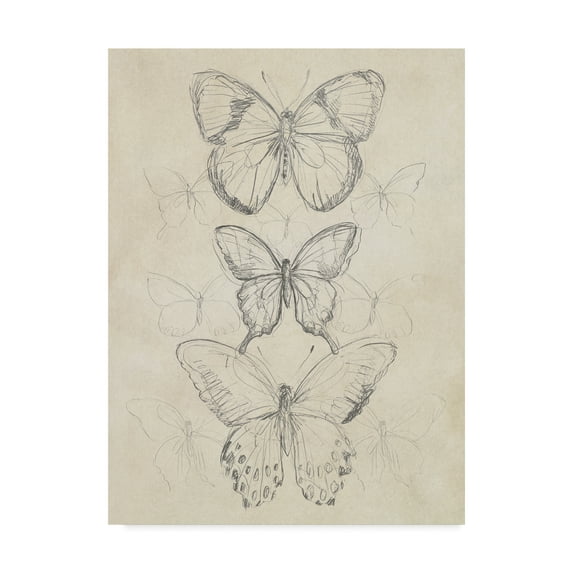 Trademark Fine Art 'Vintage Butterfly Sketch I' Canvas Art by June Erica Vess