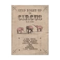thumbnail image 1 of Trademark Fine Art 'Vintage Circus I' Canvas Art by Grace Popp, 1 of 4