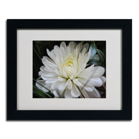 Trademark Fine Art "Vintage Culture" by Monica Fleet, Black Frame