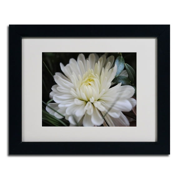 Trademark Fine Art "Vintage Culture" by Monica Fleet, Black Frame
