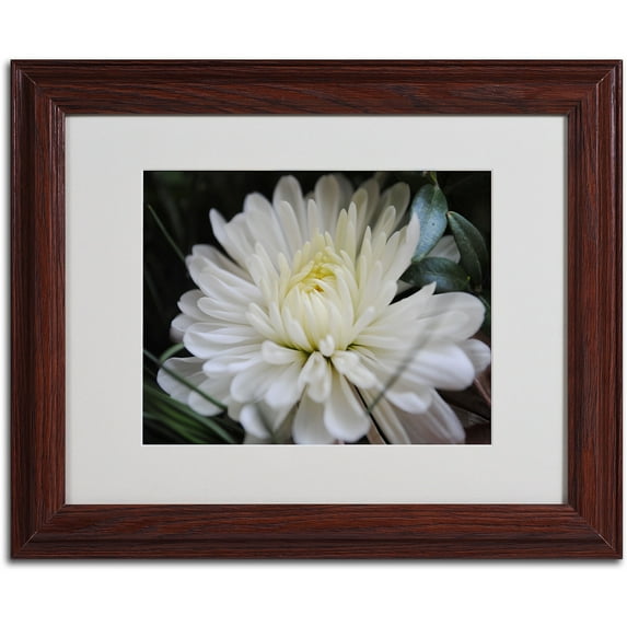 Trademark Fine Art "Vintage Culture" by Monica Fleet, Wood Frame