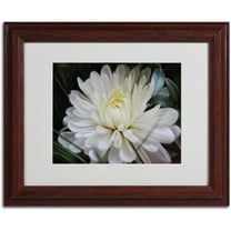 Trademark Fine Art "Vintage Culture" by Monica Fleet, Wood Frame
