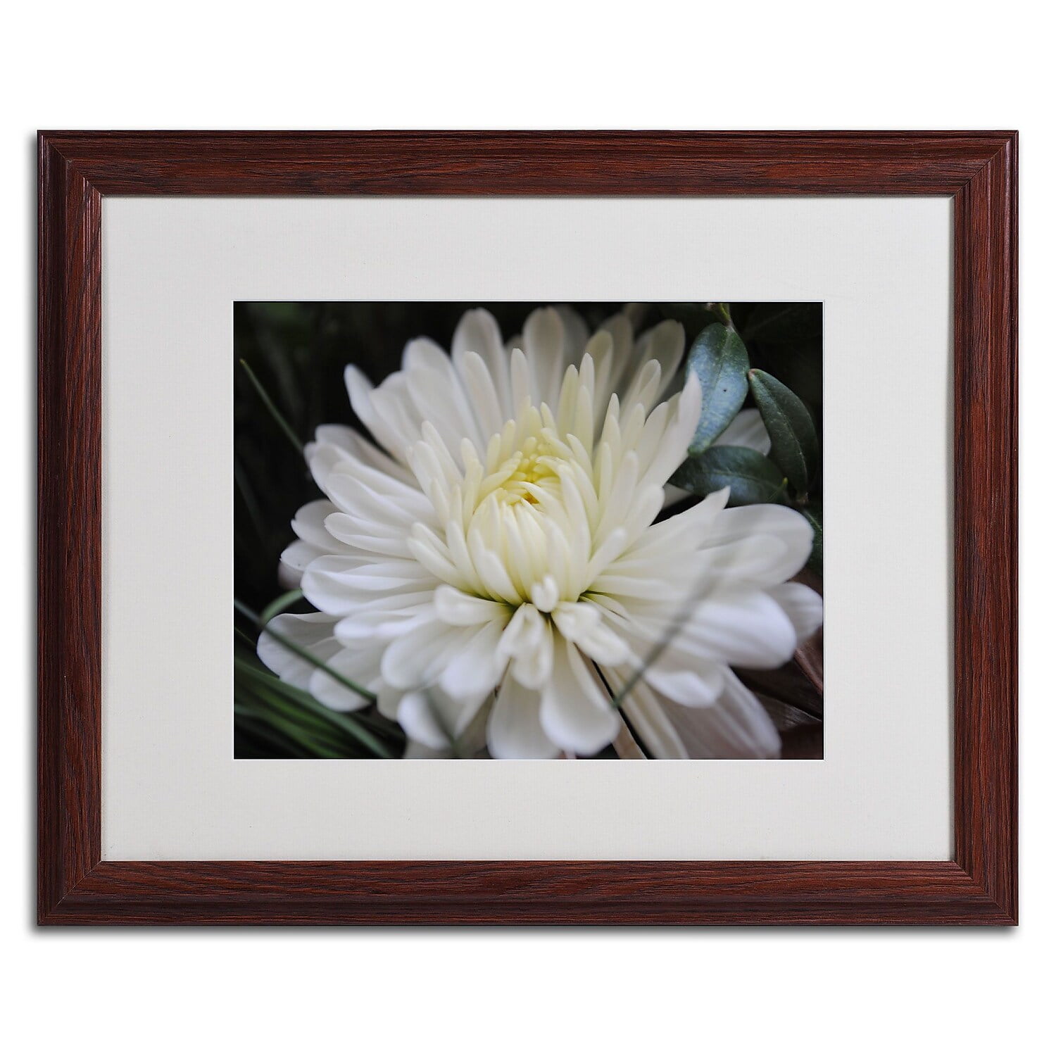 Trademark Fine Art "Vintage Culture" by Monica Fleet, Wood Frame