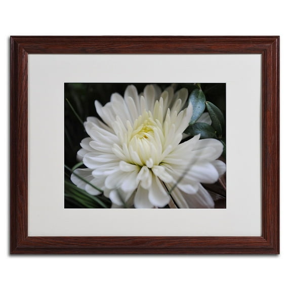 Trademark Fine Art "Vintage Culture" by Monica Fleet, Wood Frame