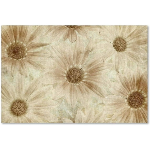 Trademark Fine Art 'Vintage Daisies' Canvas Art by Cora Niele