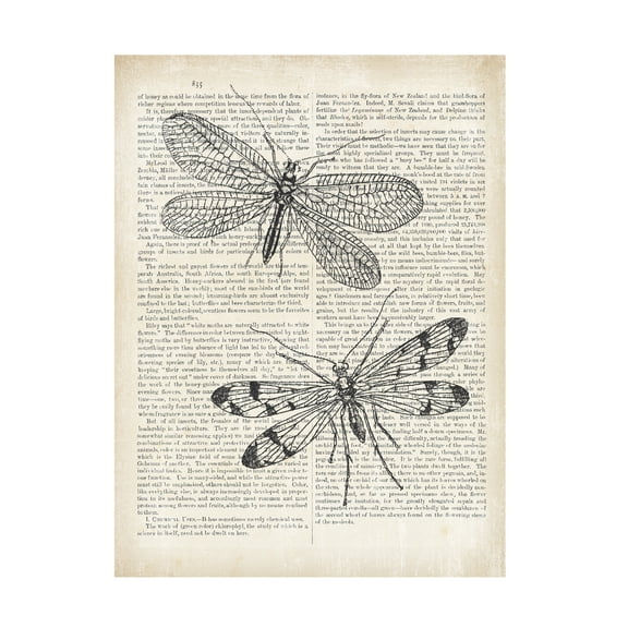 Trademark Fine Art 'Vintage Dragonflies on Newsprint' Canvas Art by Wild Apple Portfolio