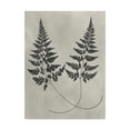 thumbnail image 1 of Trademark Fine Art 'Vintage Fern Study I' Canvas Art by Vision Studio, 1 of 4