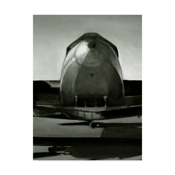 Trademark Fine Art 'Vintage Flight II' Canvas Art by Ethan Harper