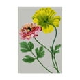 thumbnail image 1 of Trademark Fine Art 'Vintage Garden Varieties I' Canvas Art by Vision Studio, 1 of 4