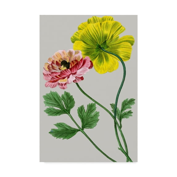 Trademark Fine Art 'Vintage Garden Varieties I' Canvas Art by Vision Studio