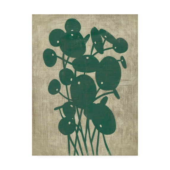 Trademark Fine Art 'Vintage Greenery IV' Canvas Art by Chariklia Zarris