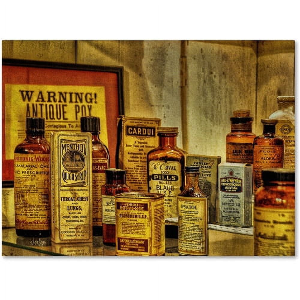 Vintage Medicines Canvas Art with Antique Bottles, 18" x 24"