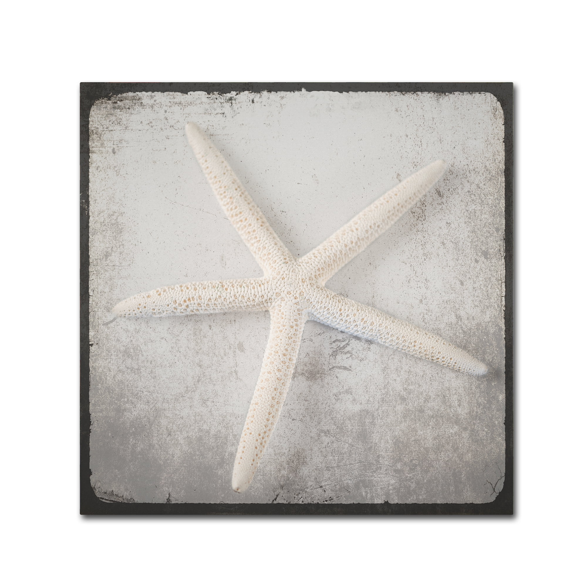 Trademark Fine Art 'Vintage Nautical Set 2' Canvas Art by LightBoxJournal