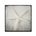 thumbnail image 1 of Trademark Fine Art 'Vintage Nautical Set 2' Canvas Art by LightBoxJournal, 1 of 3