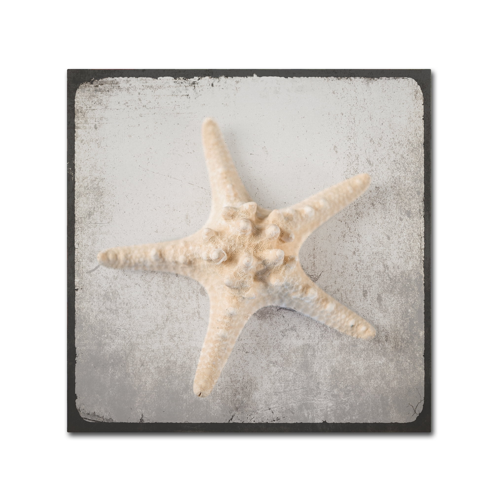 Trademark Fine Art 'Vintage Nautical Set' Canvas Art by LightBoxJournal