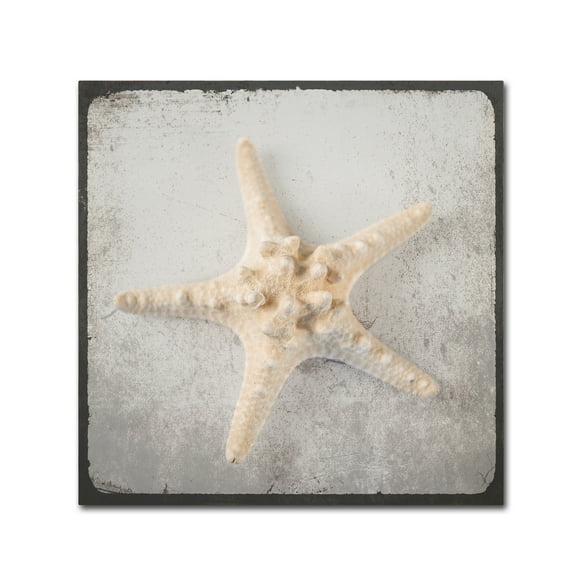 Trademark Fine Art 'Vintage Nautical Set' Canvas Art by LightBoxJournal