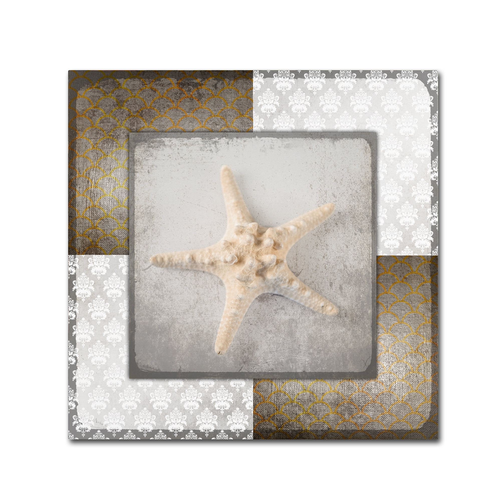 Trademark Fine Art 'Vintage Nautical Star 2' Canvas Art by LightBoxJournal