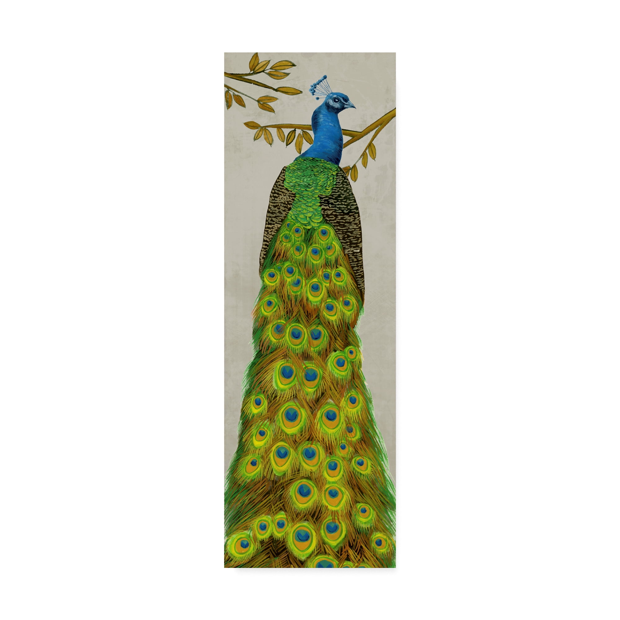 Trademark Fine Art 'Vintage Peacock I' Canvas Art by Melissa Wang