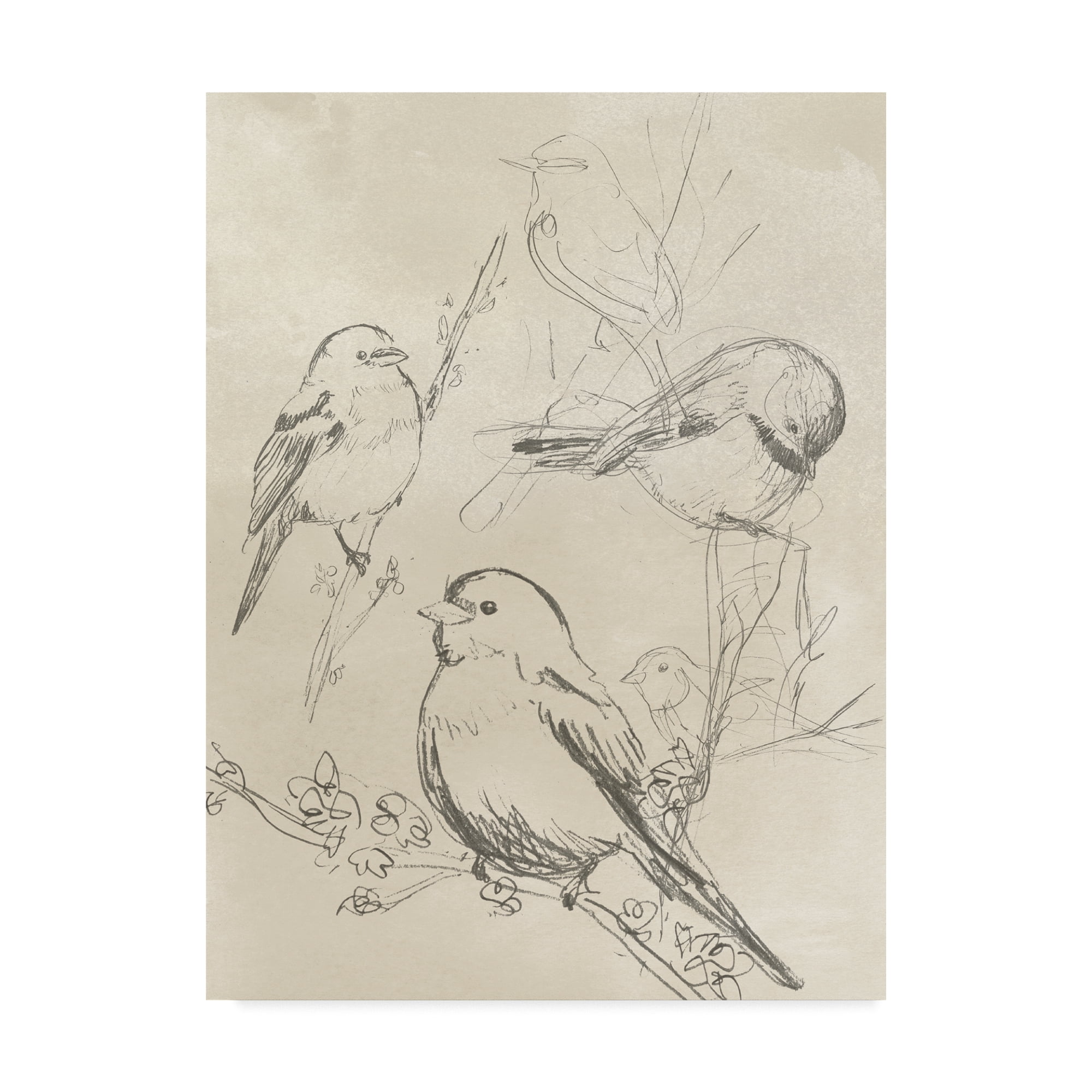 Trademark Fine Art 'Vintage Songbird Sketch II' Canvas Art by June Erica Vess