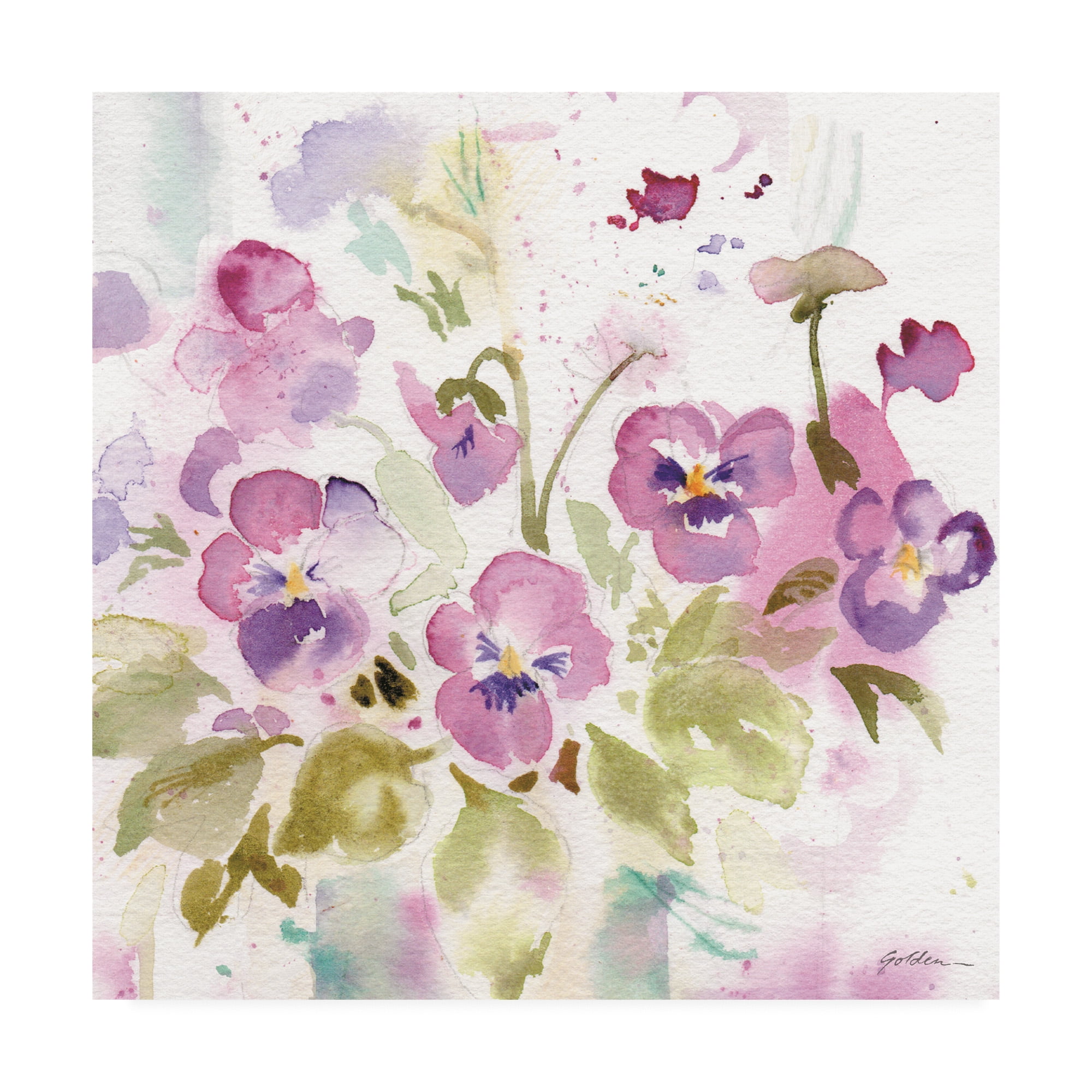 Trademark Fine Art 'Viola Impressions' Canvas Art by Sheila Golden