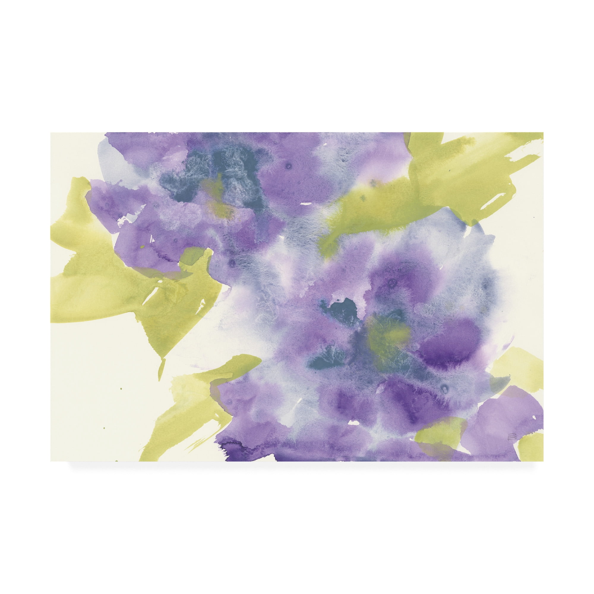 Trademark Fine Art 'Violet and Gray II' Canvas Art by Chris Paschke