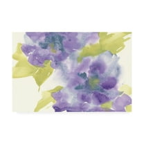 Trademark Fine Art 'Violet and Gray II' Canvas Art by Chris Paschke