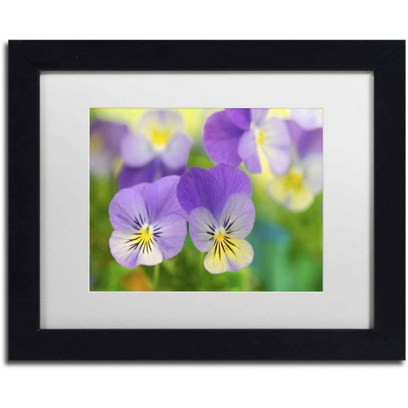Trademark Fine Art 'Violets' Canvas Art by Cora Niele, White Matte, Black Frame