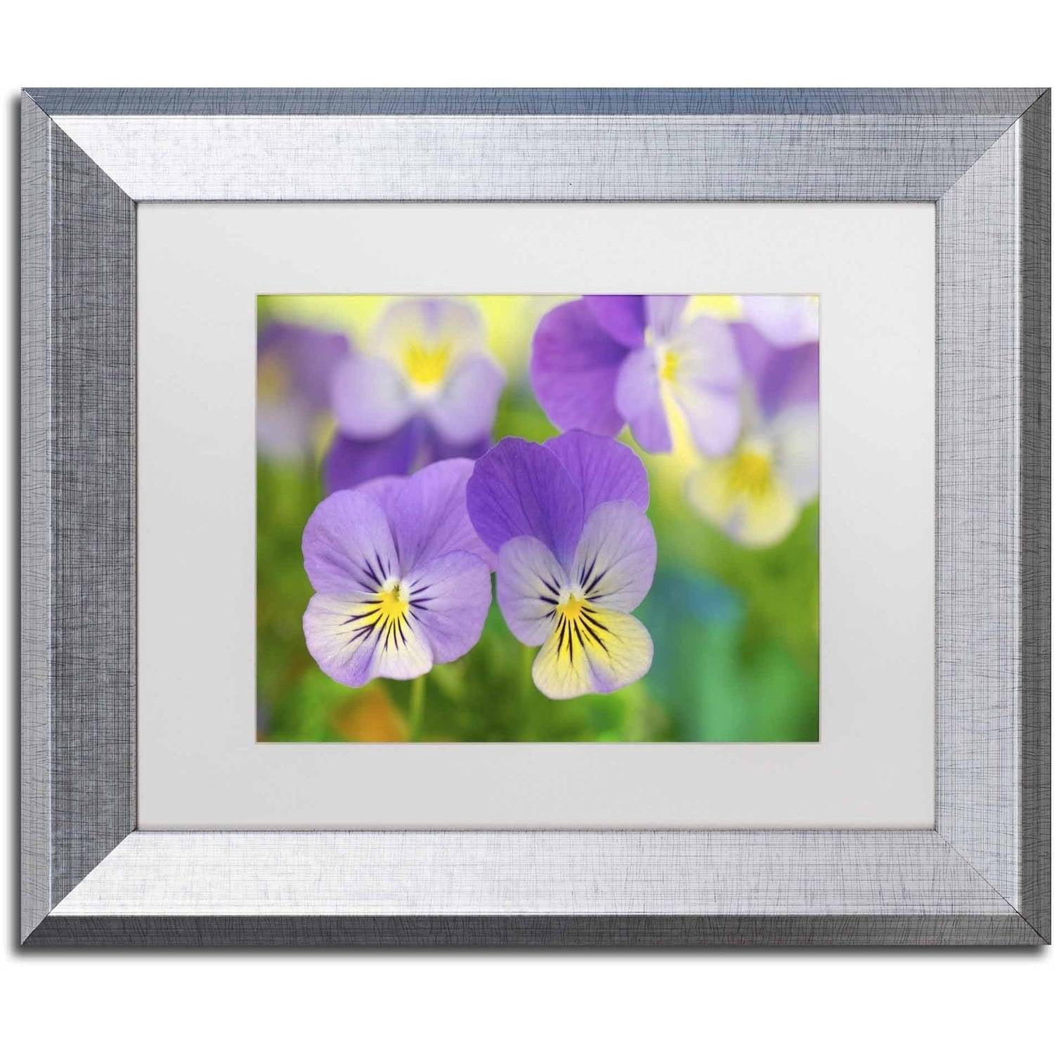 Trademark Fine Art 'Violets' Canvas Art by Cora Niele, White Matte, Silver Frame