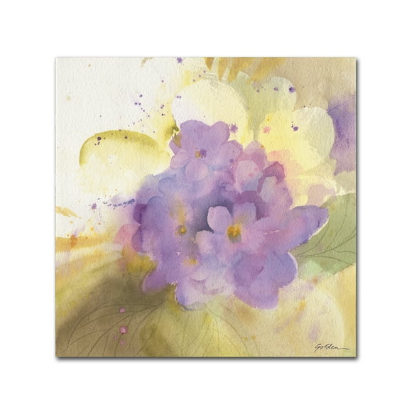Trademark Fine Art 'Violets' Canvas Art by Sheila Golden