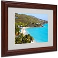 thumbnail image 1 of Trademark Fine Art "Virgin Islands 10" Matted Framed Art by CATeyes, 1 of 2