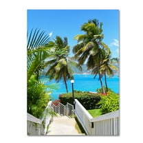 Trademark Fine Art "Virgin Islands 3" Canvas Art by CATeyes