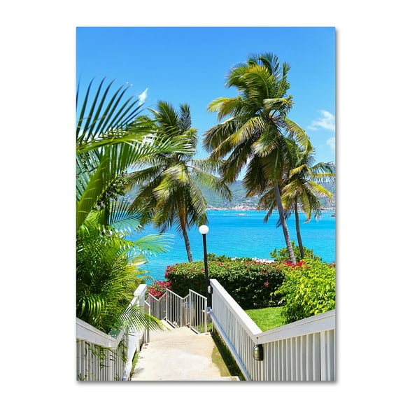 Trademark Fine Art "Virgin Islands 3" Canvas Art by CATeyes