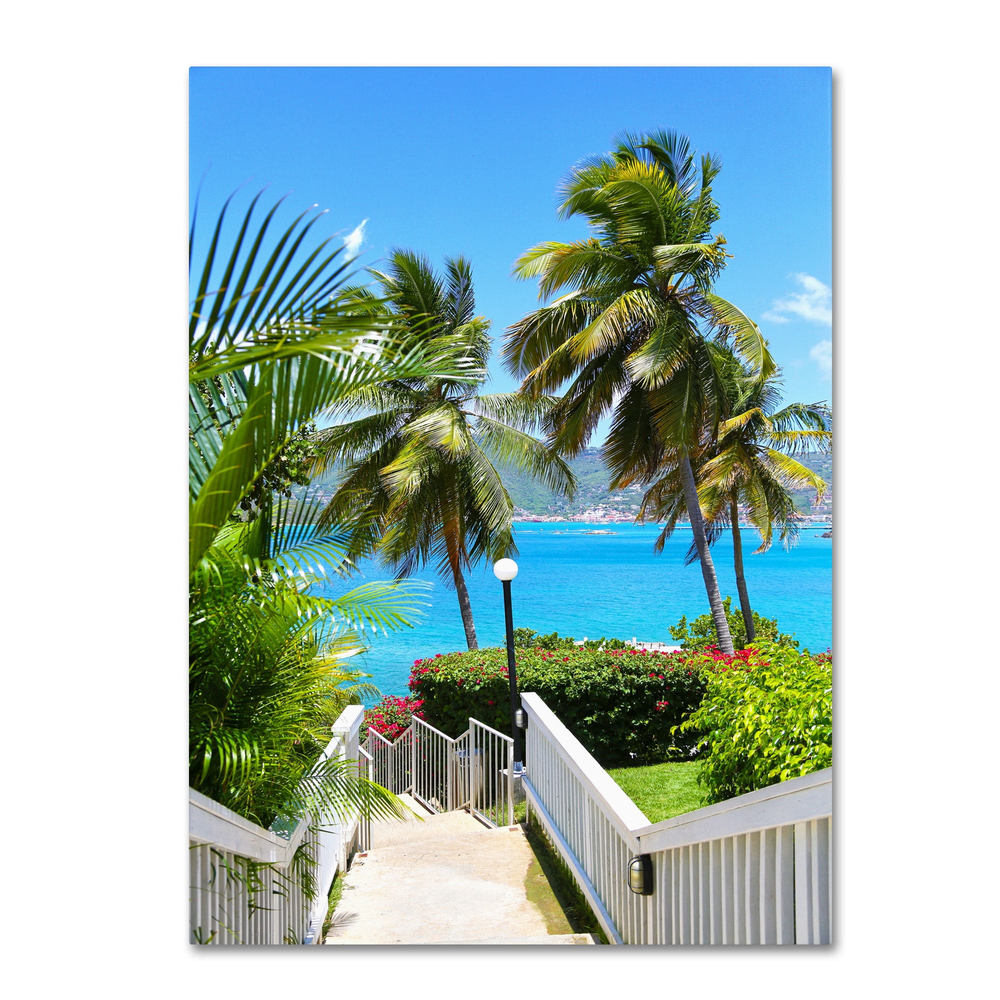 Trademark Fine Art "Virgin Islands 3" Canvas Art by CATeyes
