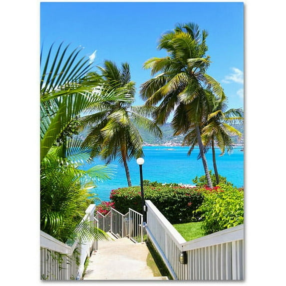 Trademark Fine Art "Virgin Islands 3" Canvas Art by CATeyes
