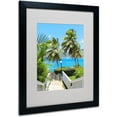 thumbnail image 1 of Trademark Fine Art "Virgin Islands 3" Matted Framed Art by CATeyes, 1 of 2
