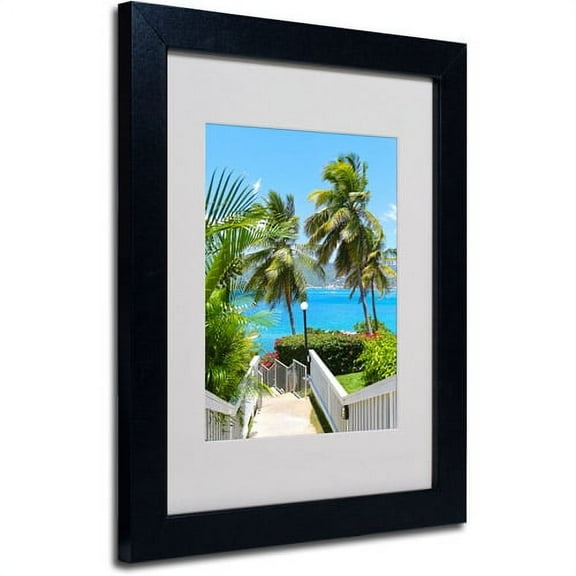 Trademark Fine Art "Virgin Islands 3" Matted Framed Art by CATeyes