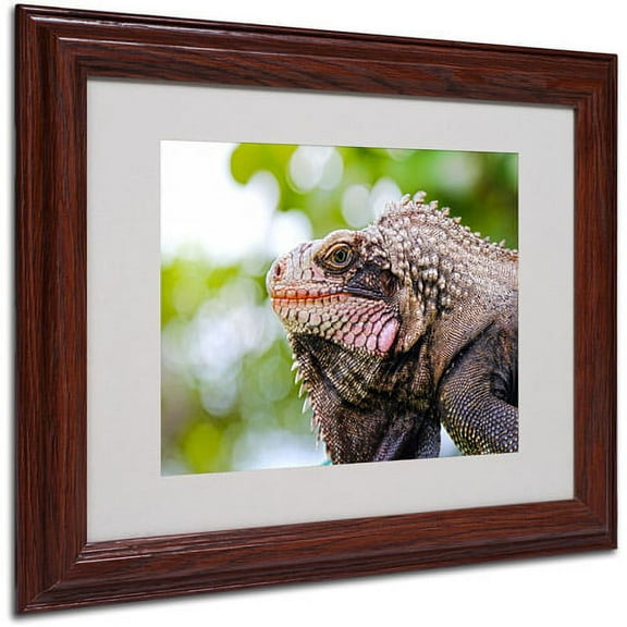 Trademark Fine Art "Virgin Islands 9" Matted Framed Art by CATeyes