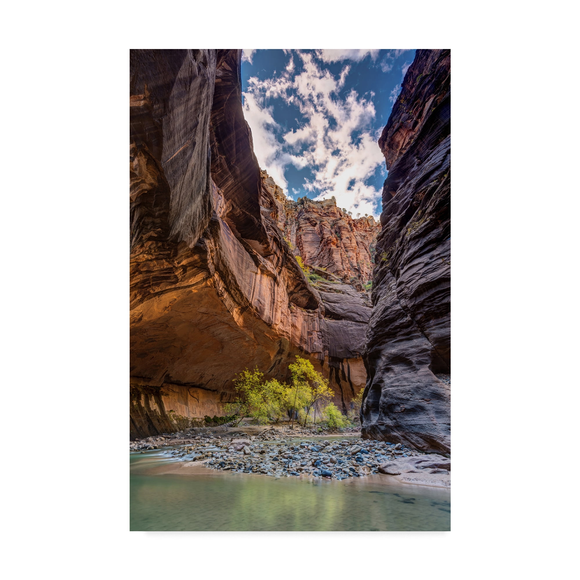 Trademark Fine Art 'Virgin River Zion' Canvas Art by Pierre Leclerc